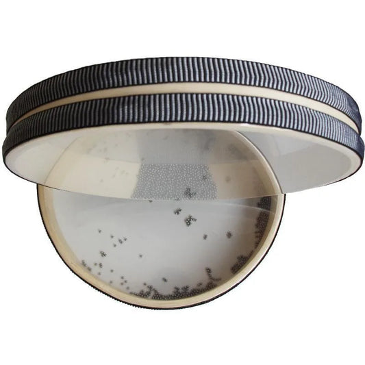 Olas de Luz – Tambor Oceánico de Sanación 8"