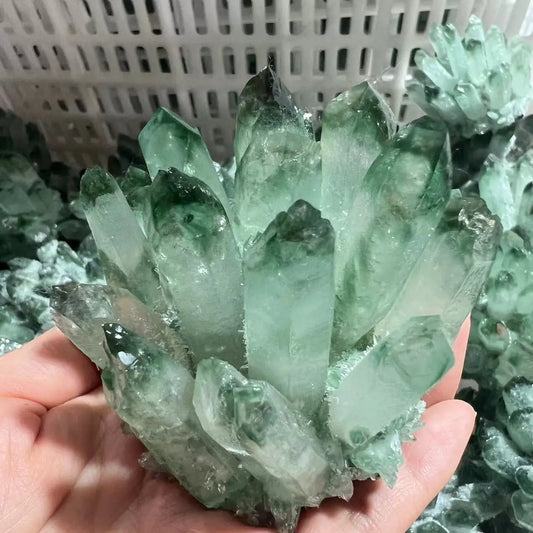 Cristal “Semilla Dorada”  Cuarzo Verde-Citrino Natural en Racimo