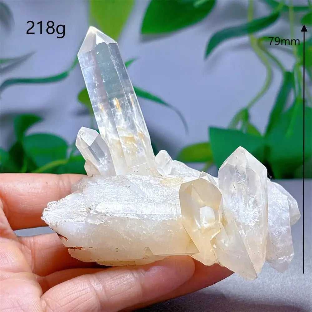 Cristal “Portal de Luz” Cuarzo Claro en Racimo Natural