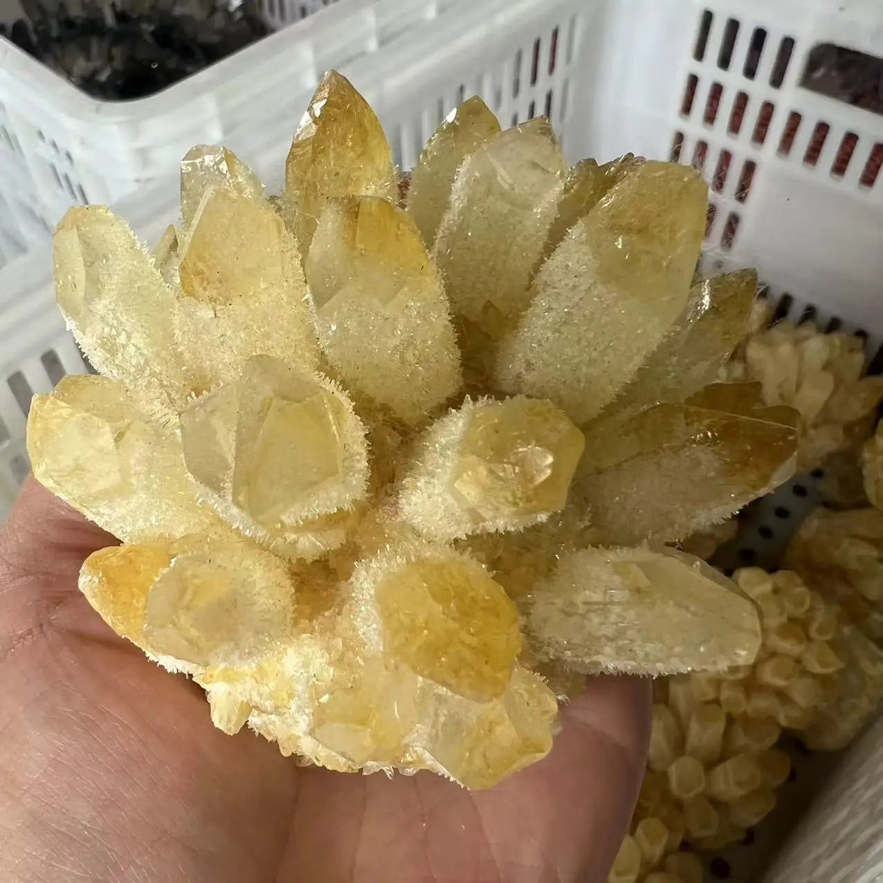 Cristal “Semilla Dorada” Cuarzo Verde-Citrino Natural en Racimo