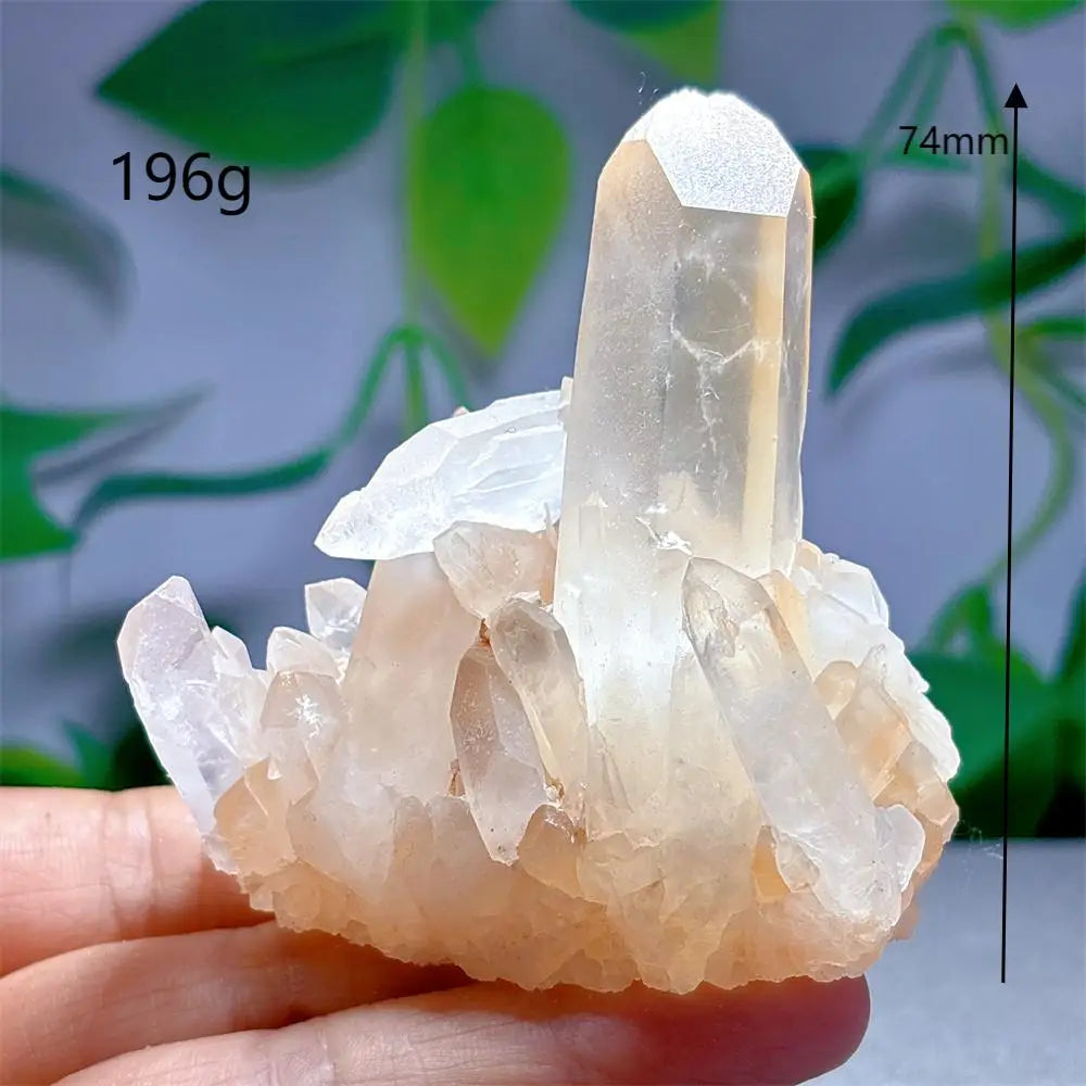 Cristal “Portal de Luz” Cuarzo Claro en Racimo Natural