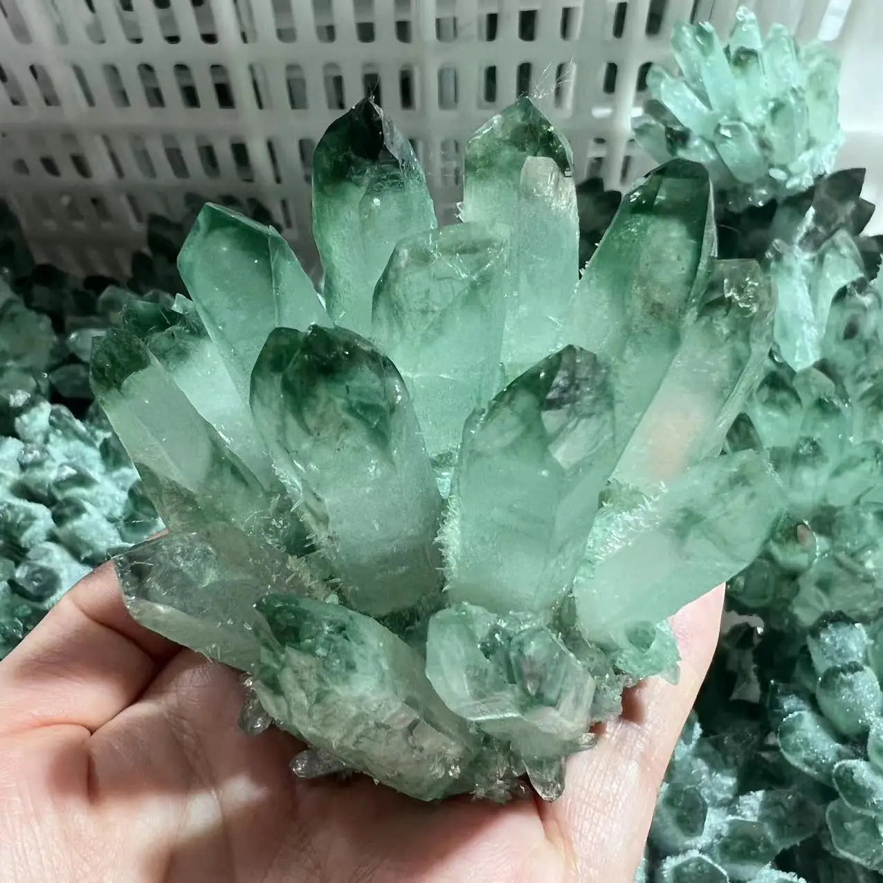 Cristal “Semilla Dorada” Cuarzo Verde-Citrino Natural en Racimo