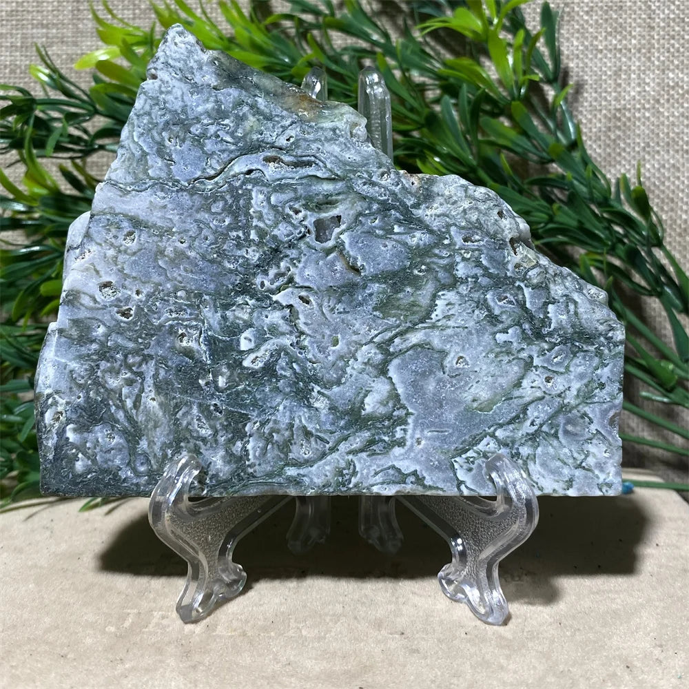 Cristal “Raíz de Vida” Ágata Musgo Natural Pulida